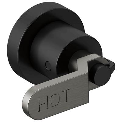 Brizo HL70434-BLSL - Two-Handle Wall Mount Tub Filler Handle Kit - Industrial Lev