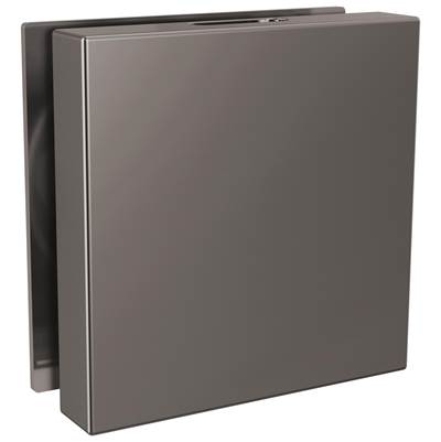 Brizo RP103312BNXL - Square Steam Head