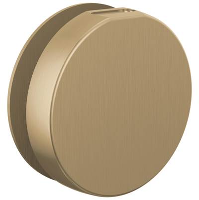 Brizo RP103313GLL - Round Steam Head