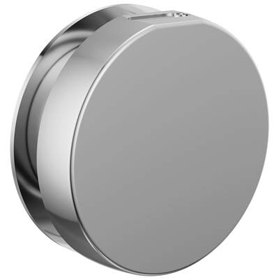 Brizo RP103313PCL - Round Steam Head