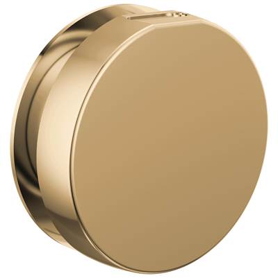 Brizo RP103313PGL - Round Steam Head