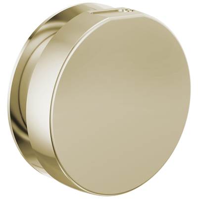 Brizo RP103313PNL - Round Steam Head