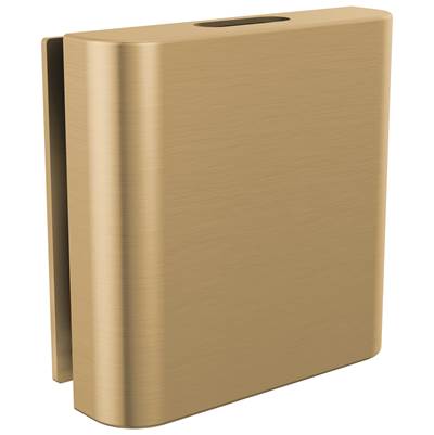 Brizo RP103316GLL - Square Steam Head