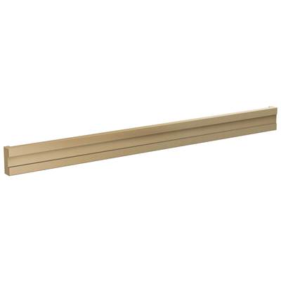 Brizo RP103317GLL - Bilateral Steam Head