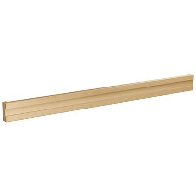 Brizo RP103317PGL - Bilateral Steam Head