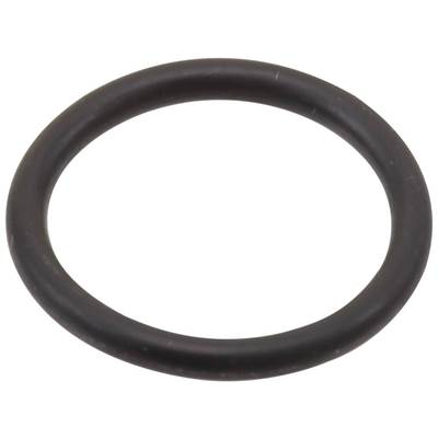 Brizo RP31689 - B - O-Rings