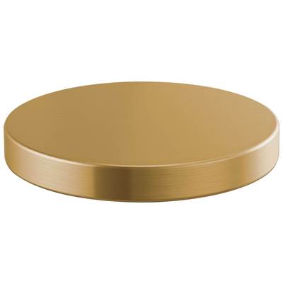 Brizo RP90934GL - Hole Cover