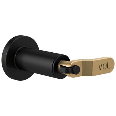 Brizo T66634-BLGL - Sensori Volume Control Trim - Industrial Lever