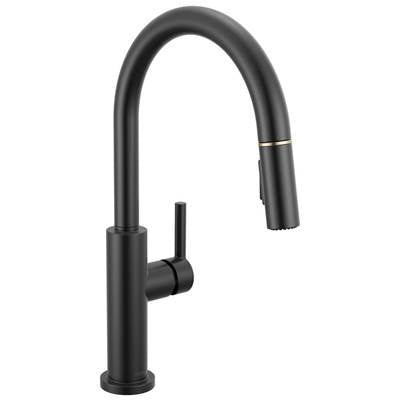 Delta 19867LF-GZ - Nicoli J Spout Gz