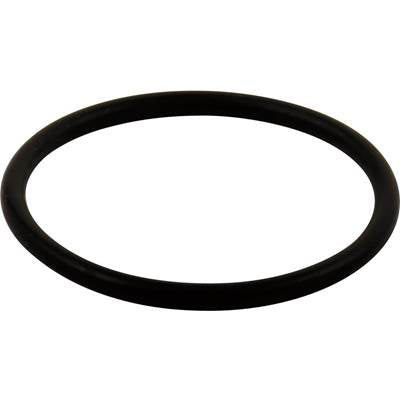 Delta RP23336 - D/Ds-Lg O Ring-All Monitor Se