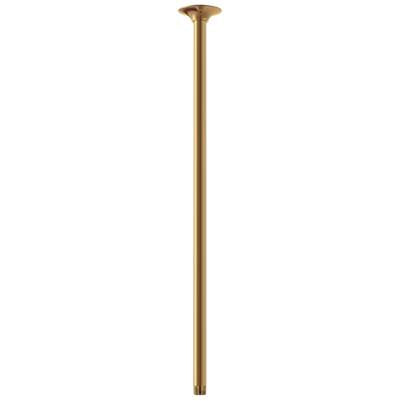 Gerber Plumbing D481324BB - 24'' Ceiling Mount Showerarm W/ Escutcheon Brushed Bronze