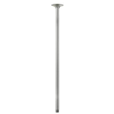 Gerber Plumbing D481324BN - 24'' Ceiling Mount Showerarm W/ Escutcheon Brushed Nickel