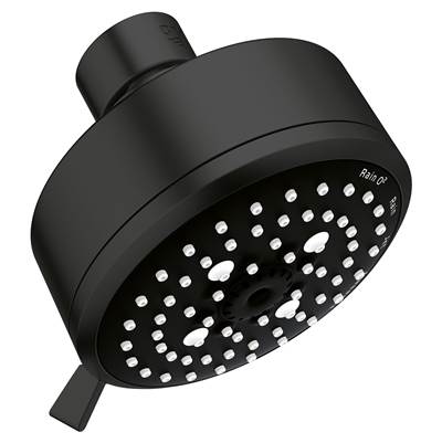Grohe 260432431 - 100 Shower Head, 4 - 4 Sprays, 6.6 L/Min (1.75 Gpm)