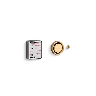 Kohler K-5548-K1-2MB - Invigoration Series Dtv+E Steam Adapter Kit
