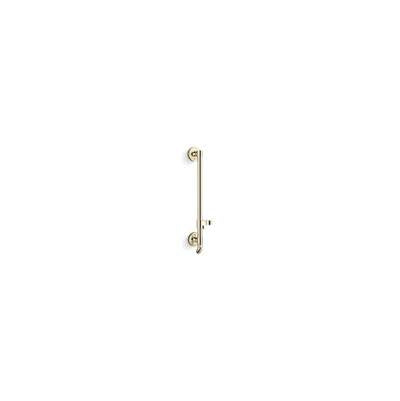 Kohler K-45904-AF - Hydrorail-H Shower Column