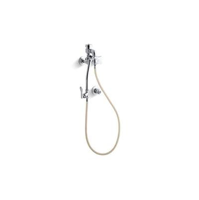 Kohler K-13931-2A-CP - Triton Built-In Bedpan Washer With Washer Standard Sprayhead And Handle