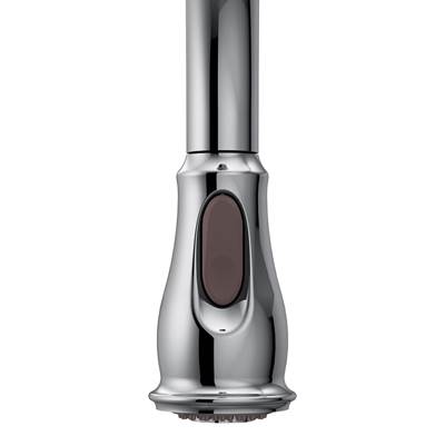 Moen 153977 - Pulldown Wand Chr