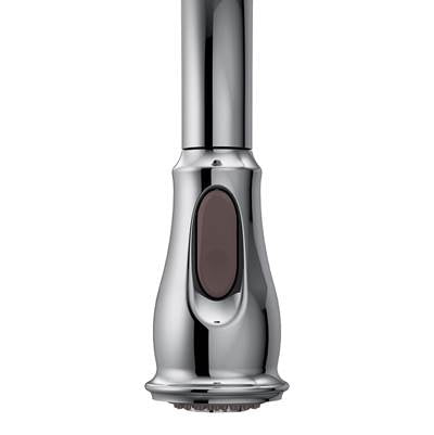 Moen 153977 - Pulldown Wand Chr