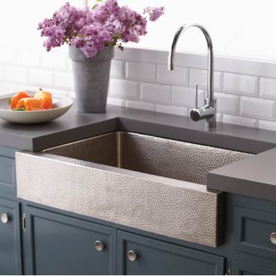 Native Trails CPK591 - Paragon In Brushed Nickel
