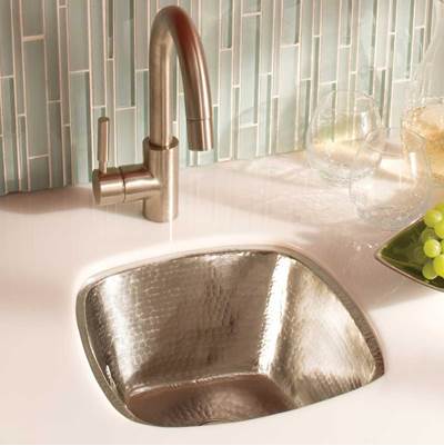 Native Trails CPS547 - Rincon In Brushed Nickel