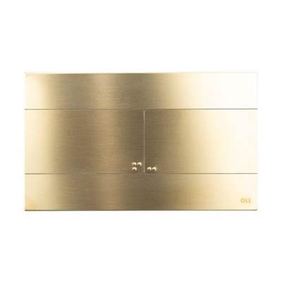 OLI 888565 - Slim Stainless Steel Flush Plate
