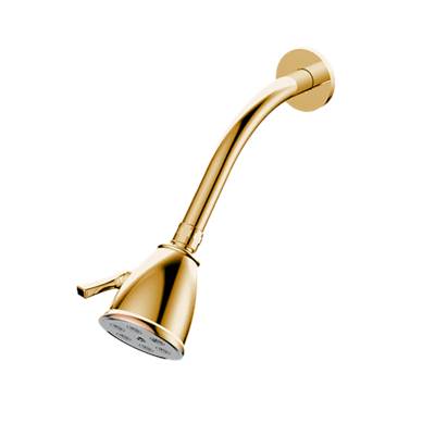 Santec 92791660 - Standard 6 Port Showerhead With Arm And Flange
