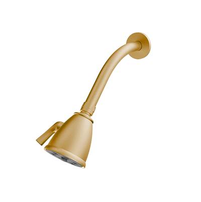 Santec 92791665 - Standard 6 Port Showerhead With Arm And Flange