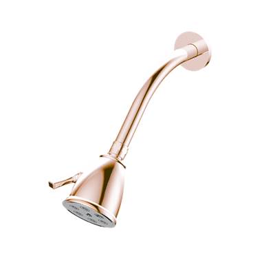 Santec 92791690 - Standard 6 Port Showerhead With Arm And Flange