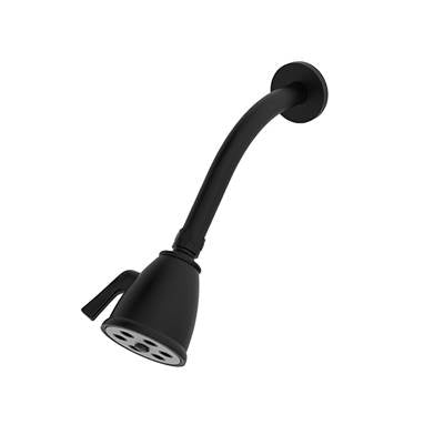 Santec 92791691 - Standard 6 Port Showerhead With Arm And Flange