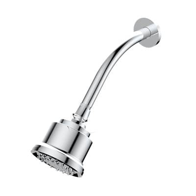 Santec 70231090 - Multifunction Cylindrical Showerhead With Arm And Flange