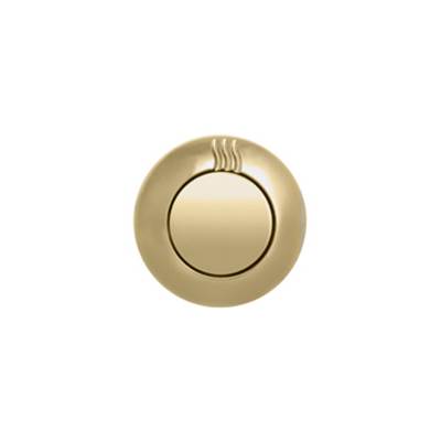 ThermaSol NTSC-PB - Notouch Contemporary Steamhead - Polished Brass