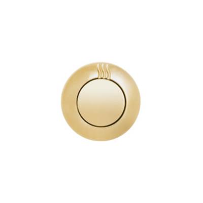 ThermaSol NTSC-PG - Notouch Contemporary Steamhead - Polished Gold
