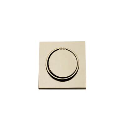 ThermaSol NTSM-SB - Notouch Modern Steamhead - Satin Brass