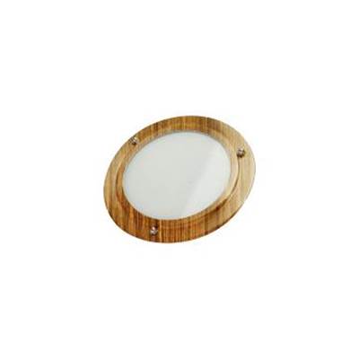 ThermaSol SL-AB - Shower Light