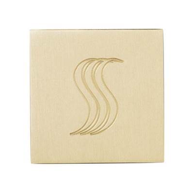 ThermaSol SVSQ-PB - Steamvection Steam Head Square