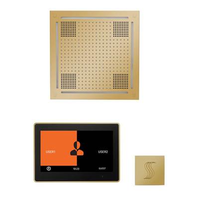 ThermaSol WHSTP10S-PB - The Wellness Hydrovive Steam Package With 10'' Thermatouch Square