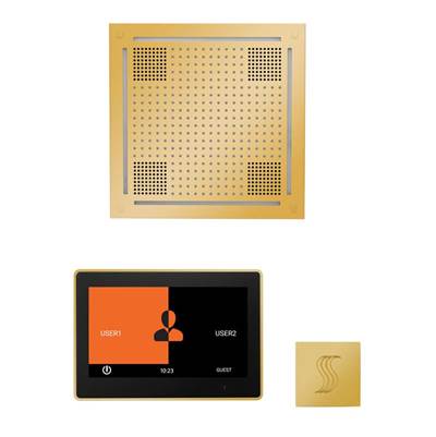 ThermaSol WHSTP10S-PG - The Wellness Hydrovive Steam Package With 10'' Thermatouch Square