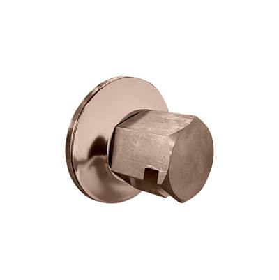 ThermaSol TSS-SN - Traditional 3/4'' Style Steam Head