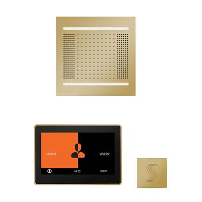 ThermaSol WH14STP10S-PB - The Wellness Hydrovive14 Steam Package With 10'' Thermatouch Square