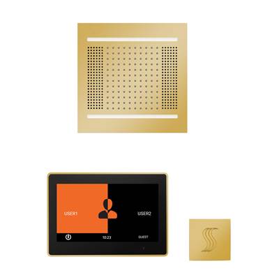ThermaSol WH14STP10S-PG - The Wellness Hydrovive14 Steam Package With 10'' Thermatouch Square