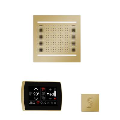 ThermaSol WH14STPSS-PB - The Wellness Hydrovive14 Steam Package With Signatouch Square