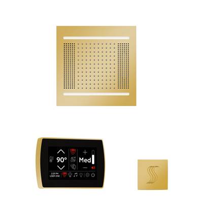 ThermaSol WH14STPSS-PG - The Wellness Hydrovive14 Steam Package With Signatouch Square