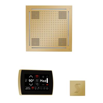 ThermaSol WHSTPSS-PB - The Wellness Hydrovive Steam Package With Signatouch Square