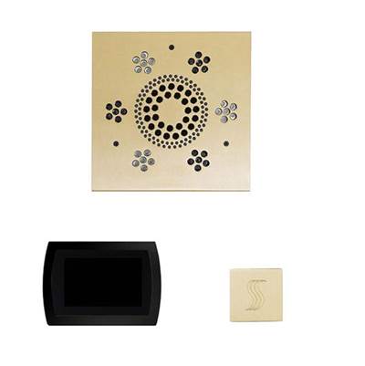 ThermaSol WSTPSS-PB - The Wellness Steam Package With Signatouch Square