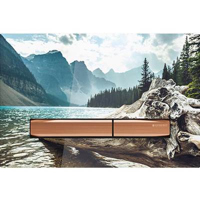 Geberit 115.670.00.2- Geberit actuator plate Sigma50 for dual flush, metal colour red gold: red gold, customised - FaucetExpress.ca