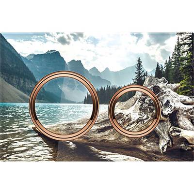 Geberit 115.650.00.1- Geberit actuator plate Sigma21 for dual flush, metal colour red gold: red gold, customised - FaucetExpress.ca