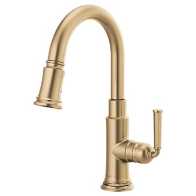 Brizo 63974LF-GL- Single Handle Pull-Down Prep Kitchen Faucet | FaucetExpress.ca