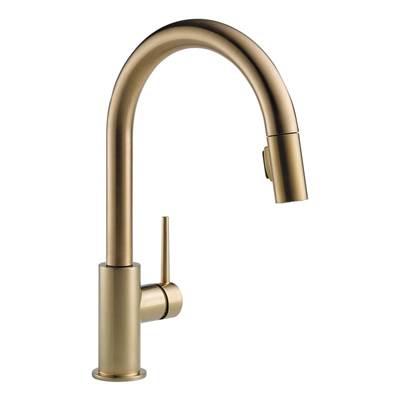 Delta 9159-CZ-DST- Trinsic Pull-Down Kitchen Faucet | FaucetExpress.ca