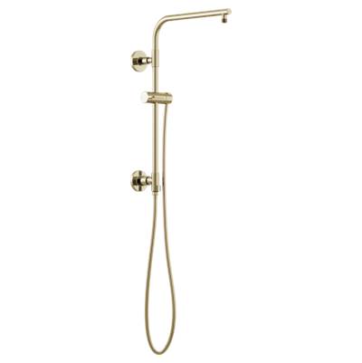 Brizo 80092-PN- Euro Round Shower Column | FaucetExpress.ca