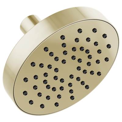 Brizo 82392-PN- Euro Rd Single Function Showerhead